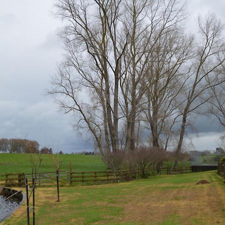 Poplar Creek B&B Matamata Bagian luar foto
