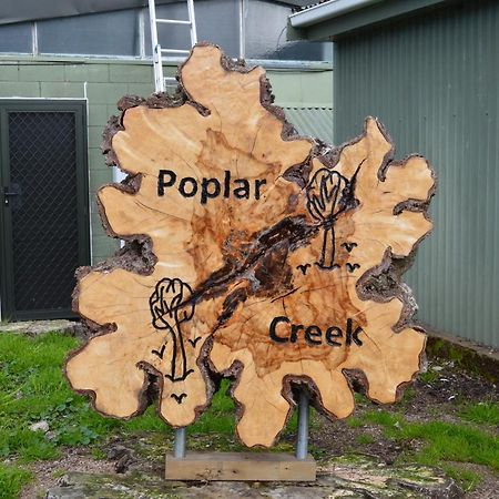 Poplar Creek B&B Matamata Bagian luar foto