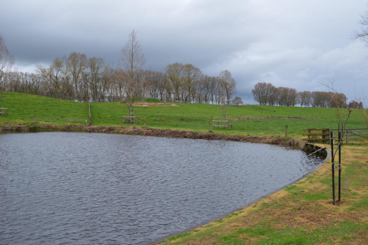 Poplar Creek B&B Matamata Bagian luar foto