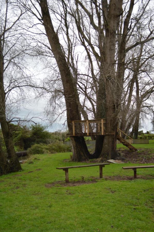 Poplar Creek B&B Matamata Bagian luar foto