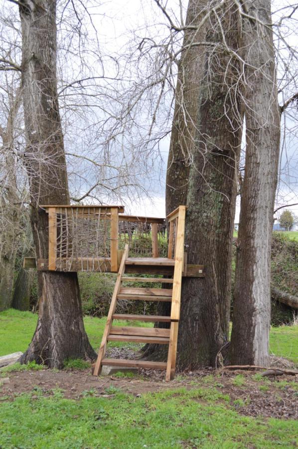 Poplar Creek B&B Matamata Bagian luar foto