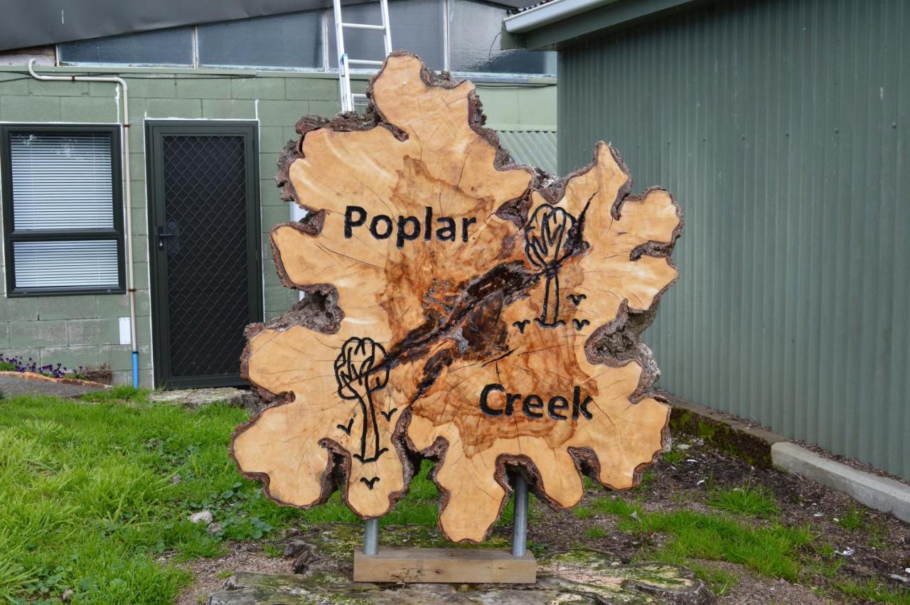 Poplar Creek B&B Matamata Bagian luar foto