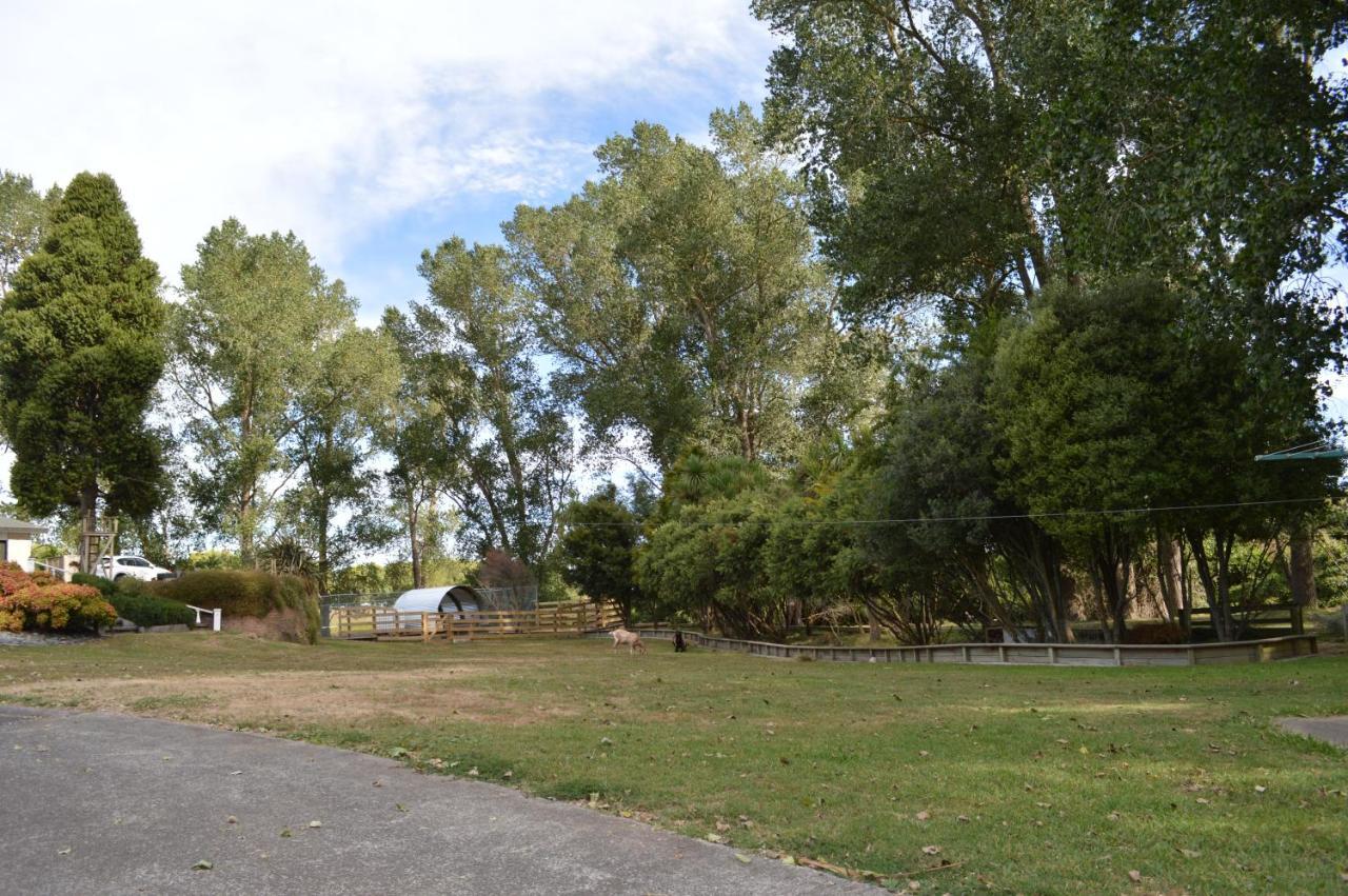 Poplar Creek B&B Matamata Bagian luar foto