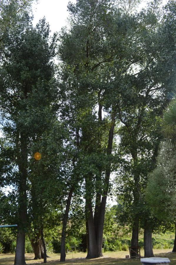 Poplar Creek B&B Matamata Bagian luar foto